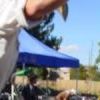 Joust Jay