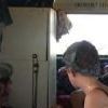 Busback