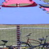 Cyclecide03