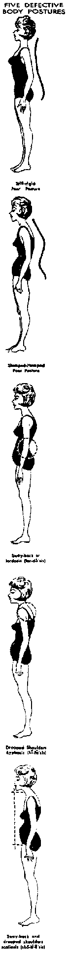 Body Posture